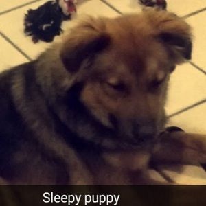 Meet your Posher, Adela